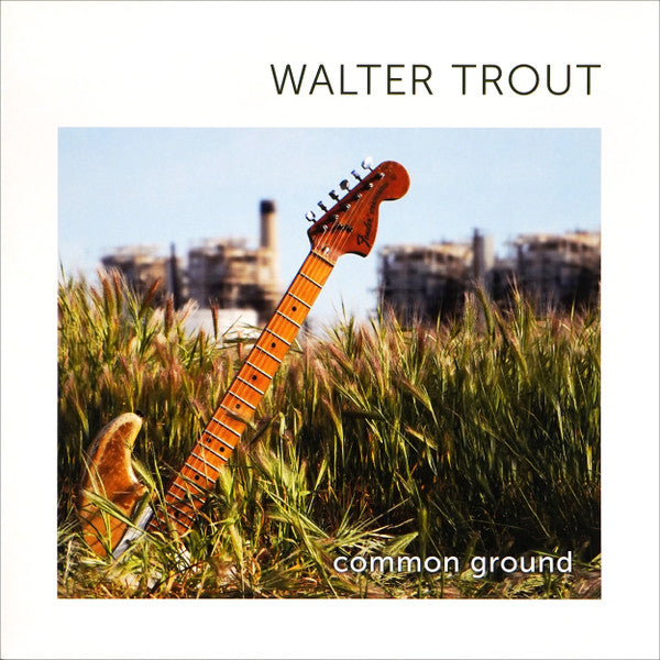 Walter Trout - Common ground