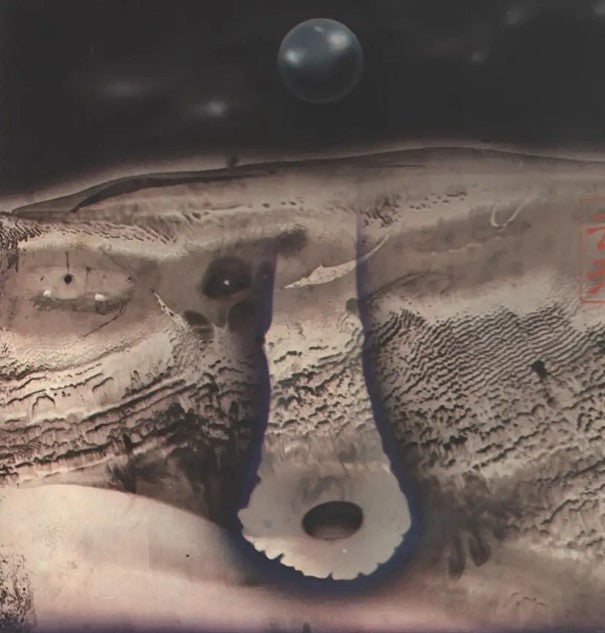 Hozan Yamamoto & Chris Hinze - Kyorai