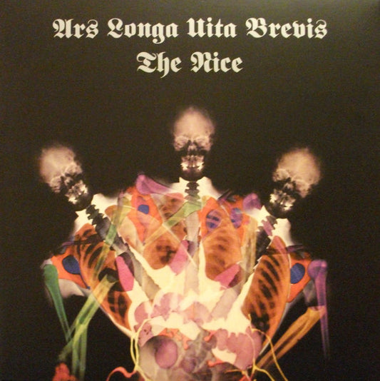 Nice - Ars longa vita brevis